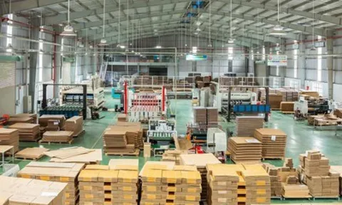 Công ty Công nghệ Bao bì Giấy Tiến Phát: Khẳng Định Vị Thế Dẫn Đầu Ngành In Ấn Carton Tại Việt Nam