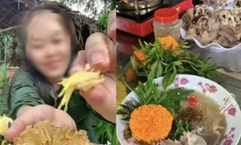 Trào lưu ẩm thực “ăn hoa như ăn rau”: Bác sĩ chỉ ra những tác hại khó lường