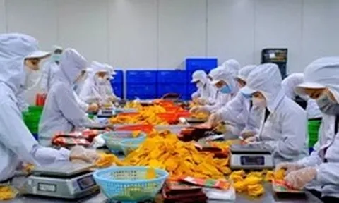 Xung đột Trung Đông: Cú sốc dây chuyền tới xuất khẩu nông sản Việt