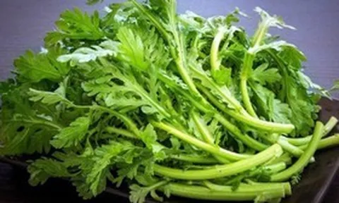 Loại rau là "món ăn của Hoàng đế", hương thơm độc đáo, tươi mát