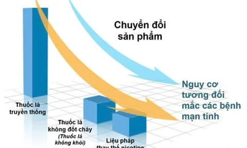 Trung Quốc tái định vị chuỗi giá trị sản phẩm nicotine toàn cầu