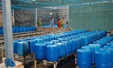 Sản xuất 510 tấn giá đỗ bằng chất độc 6-Benzylaminopurine bán cho người dân