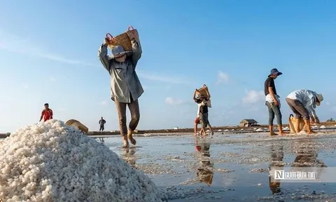 Theo chân diêm dân “nuôi” muối giữa nắng, gió và mồ hôi