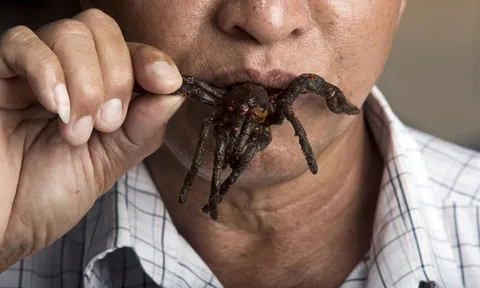 Món ăn kinh dị nhất thế giới: "Nhắm mắt" thưởng thức đặc sản nghe tên đã rùng mình