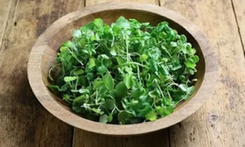 Loại rau nhiều người Việt "né" nhưng Mỹ ca ngợi thuộc top tốt "bậc nhất thế giới"