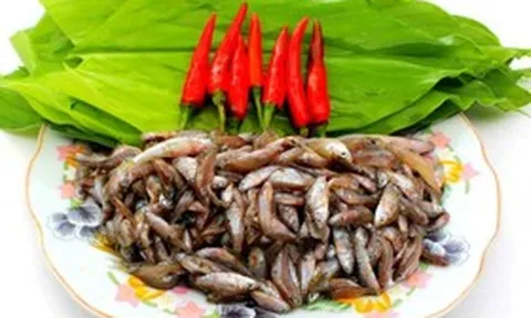 Loại cá "nhà nghèo" xưa ra đồng bắt về ăn, nay thành đặc sản ngon và hiếm giá 400.000 đồng/kg vẫn hút khách