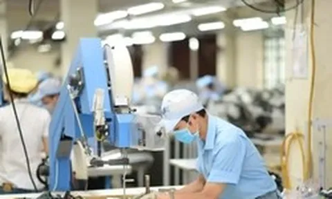 Nhập siêu 7,9 tỷ USD do đâu?