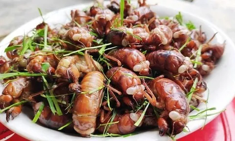 Ăn ve sầu, nam sinh 17 tuổi phải cấp cứu lúc nửa đêm