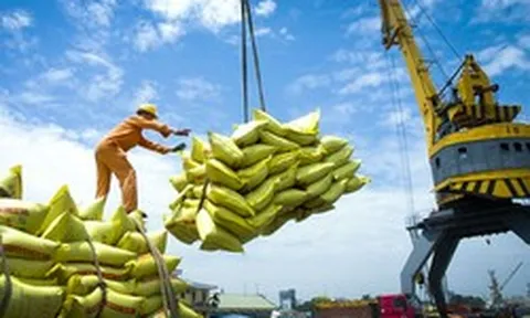 Một mặt hàng 'tỷ đô' của Việt Nam đón tin cực vui từ Philippines và Trung Quốc - triển vọng mang về 5 tỷ USD