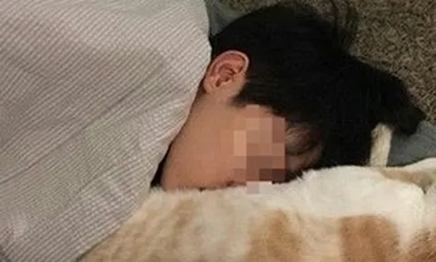 Ôm mèo mà không rửa tay, cậu bé 14 tuổi "sốc" khi biết mình "gần như mù lòa"