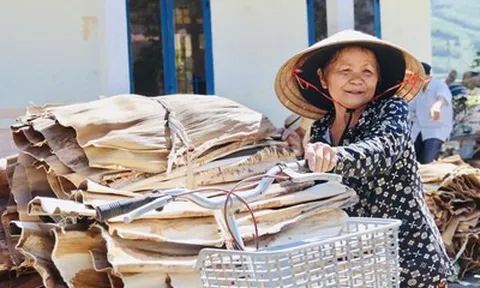 Biến “rác vườn” thành sản phẩm xuất ngoại, người dân Quảng Ngãi kiếm tiền triệu từ mo cau
