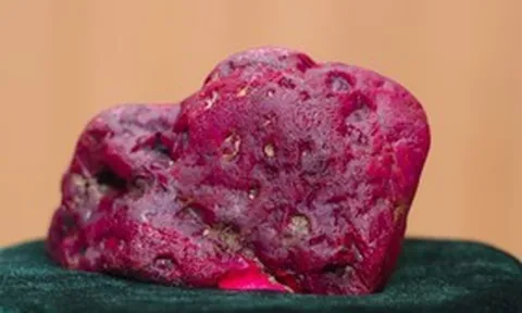 Thợ mỏ đào trúng hồng ngọc “khủng” nặng 2.2kg, giới đá quý toàn cầu chấn động