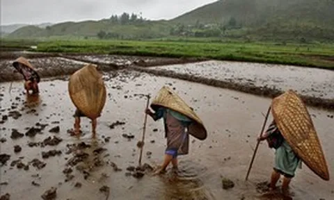 Bí ẩn ngôi làng mưa nhiều nhất thế giới: Cả năm không khô nổi một ngày