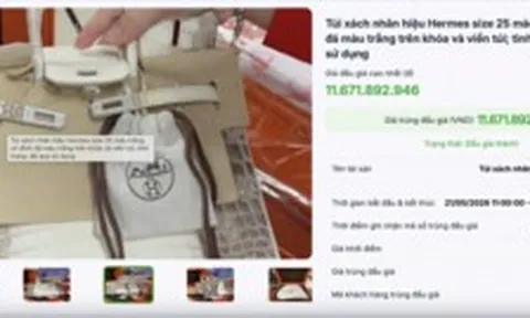 Đấu giá thành công 2 túi Hermès bạch tạng của Trương Mỹ Lan, thu hơn 14 tỷ đồng