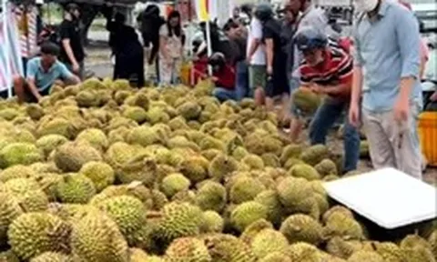 Mua sầu riêng non 'giải cứu' ven đường ở TP.HCM, người tiêu dùng lãnh đủ