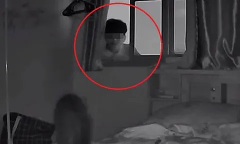 Vừa trở về nhà, cô gái bỗng phát hiện cảnh tượng “nổi da gà” nhờ hai chú mèo cưng