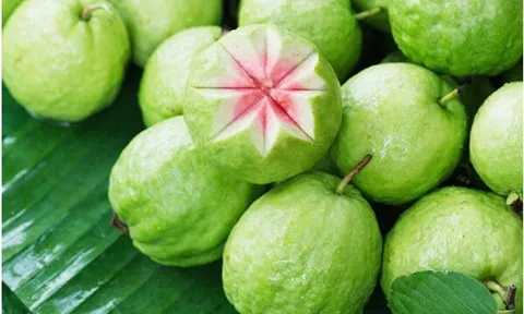 Lợi ích của quả ổi với sức khỏe