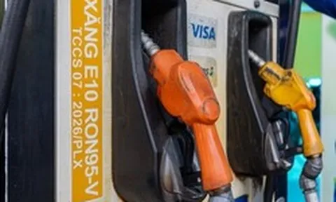 Những mẫu xe chưa xác định tương thích với xăng E10