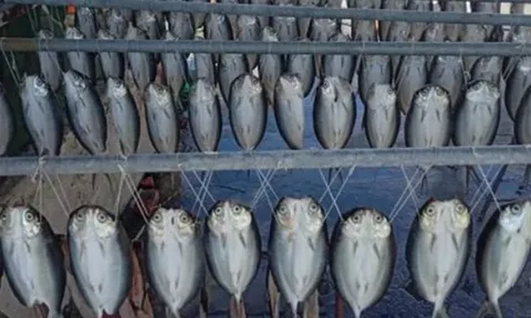 Đang đi dạo, người dân phát hiện cảnh tượng "nổi da gà", nhiều người kéo đến xem tận mắt