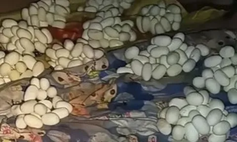Mở cửa căn phòng trống, nam thanh niên chứng kiến cảnh tượng "không thể tin nổi"