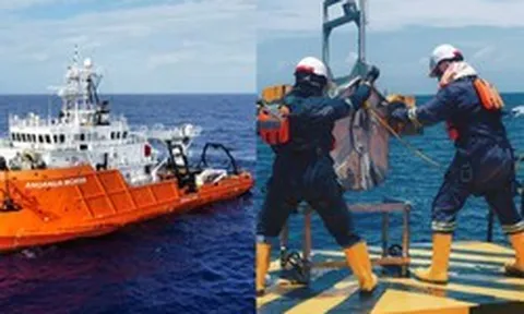Hơn 4.000 mẫu vật liên tiếp được đưa lên từ đáy đại dương sau 3 tuần khảo sát, các nhà khoa học đang tìm kiếm điều gì?