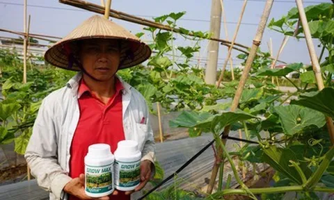 GROW MAX NPK 8000 – Giải Pháp Tối Ưu Quang Hợp, Đẩy Nhanh Tiến Độ Kiến Thiết Tán Cây