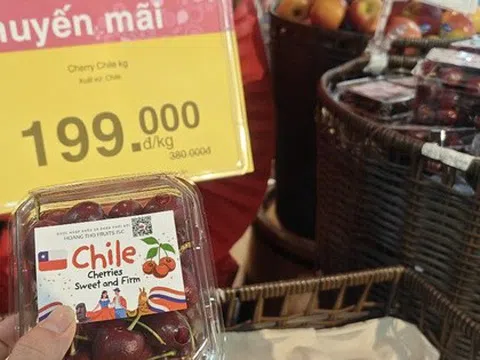 Cherry Chile giá rẻ bất ngờ, nhiều người nghi ngờ hàng Trung Quốc