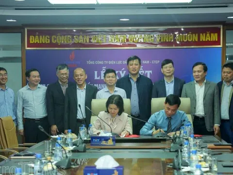 Lan tỏa các phong trào thi đua yêu nước trong mỗi đảng viên Đảng bộ PV Power