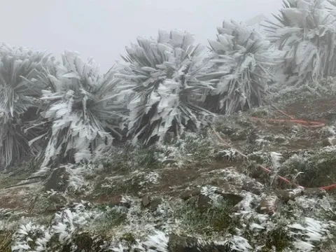 Dự báo thời tiết 4/2: Miền Bắc đón không khí lạnh dồn dập, trời rét đậm, sương mù bao phủ