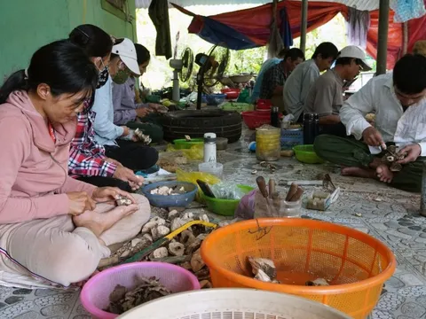 Làng hương trầm vào mùa “ăn nên làm ra” dịp cận Tết