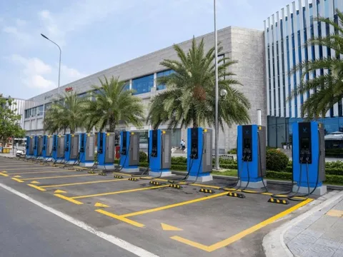 V-Green có Chủ tịch Hội đồng quản trị mới 0