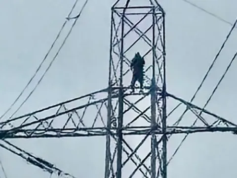 Người đàn ông thất tình trèo lên cột điện khiến 20.000 hộ dân gánh hậu quả