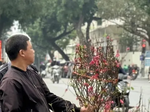 Bộ Tài chính thông tin về giá cả thị trường Tết