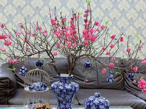 Đừng đốt gốc đào nữa thêm thứ này hoa nở rộ rất nhanh, bền đẹp ngày Tết