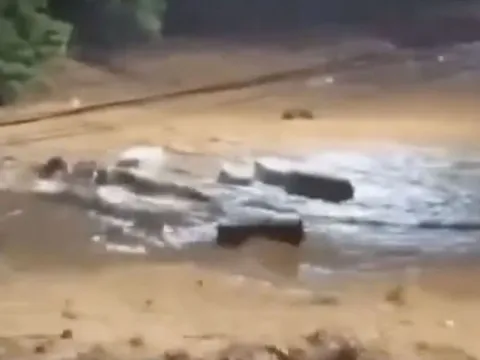 Người dân hét lớn khi bắt gặp cảnh tượng đáng sợ trên phố