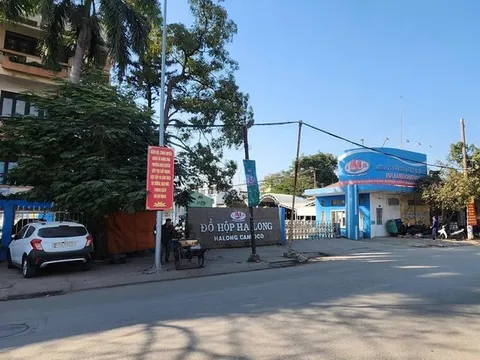 Công ty CP Đồ hộp Hạ Long vẫn dừng hoạt động sản xuất 0