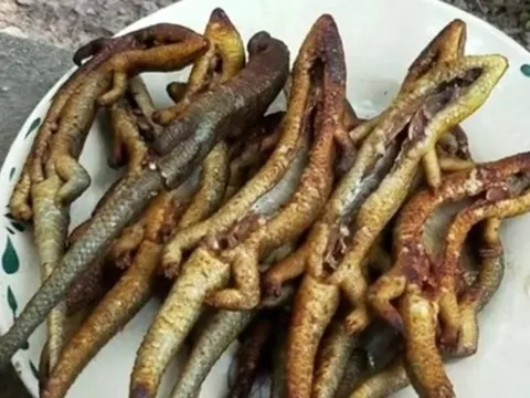 Đặc sản nhìn "sợ khiếp vía" xưa không dám ăn nay 350.000 đ/kg vẫn có người xuống tiền