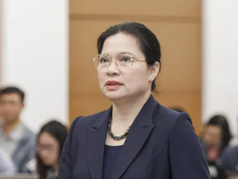 Chi tiết 5 người tự ứng cử ĐBQH khoá XVI