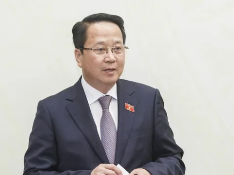 Chưa phát hiện ứng cử viên ĐBQH vi phạm phải tạm dừng ứng cử như đơn khiếu nại tố cáo