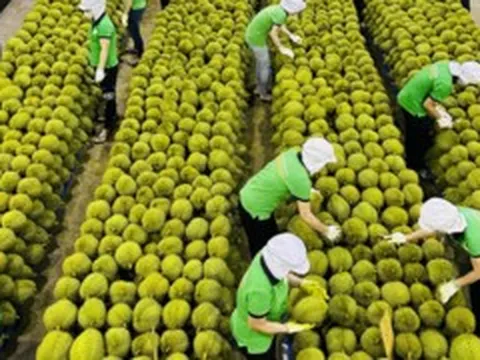 Nhiều tín hiệu tích cực với xuất khẩu Việt Nam giữa biến động Trung Đông