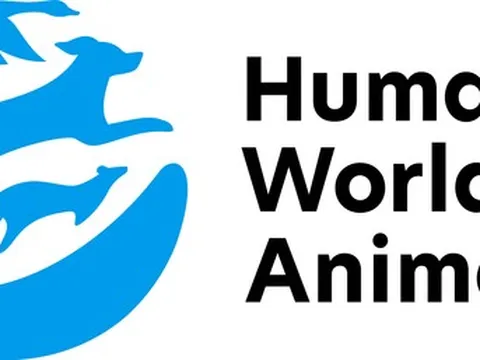 Indonesia khởi động chương trình tìm kiếm sinh kế thay thế cho những người buôn bán thịt chó nhằm chấm dứt nạn buôn bán này