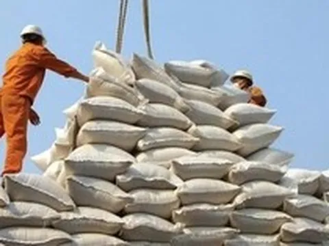 Vì sao xuất khẩu gạo giảm mạnh?