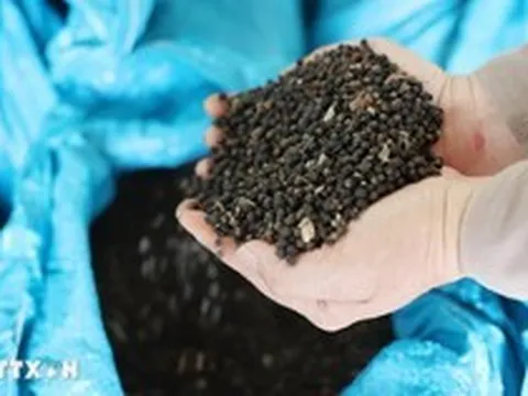 Việt Nam đón tin cực vui từ Thái Lan