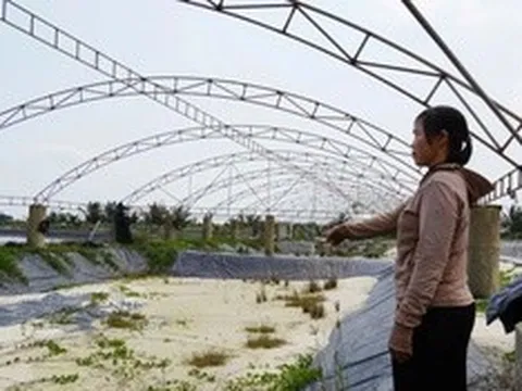 Chưa kịp “đổi đời” đã ôm khoản nợ tiền tỷ vì nuôi tôm