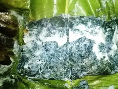 Loại lá mọc dại bờ rào được xem là "bảo bối" cho hệ tiêu hóa