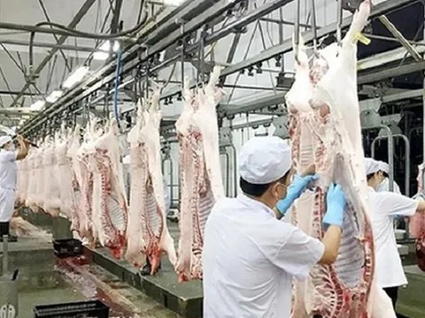 Thủ tướng chỉ đạo chấn chỉnh công tác kiểm dịch của lực lượng thú y