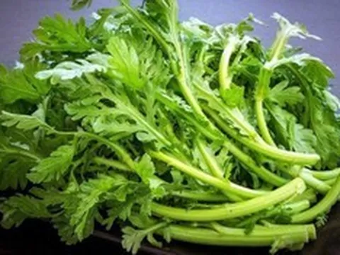 Loại rau là "món ăn của Hoàng đế", hương thơm độc đáo, tươi mát