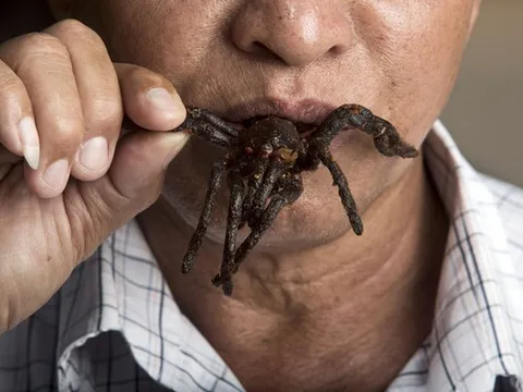 Món ăn kinh dị nhất thế giới: "Nhắm mắt" thưởng thức đặc sản nghe tên đã rùng mình