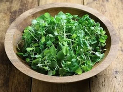 Loại rau nhiều người Việt "né" nhưng Mỹ ca ngợi thuộc top tốt "bậc nhất thế giới"