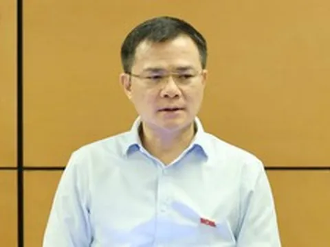 Lãnh đạo Viettel: Cần mở rộng đầu tư quốc tế để đạt tăng trưởng hai con số